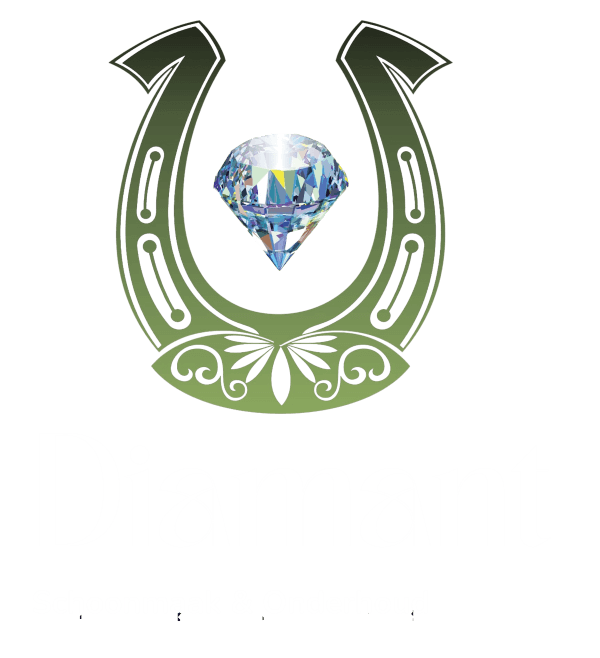 Diamant Schoonmaak & Onderhoud logo nieuw wit