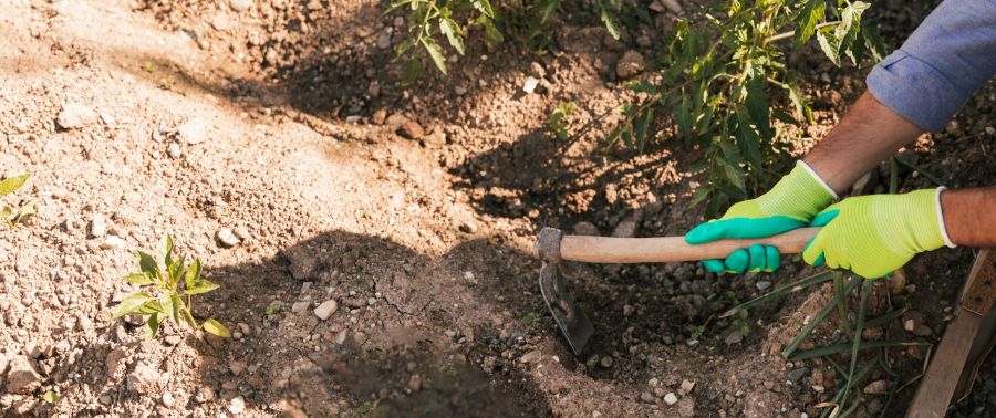 Diamant Schoonmaak&Onderhoud-tuinrenovatie